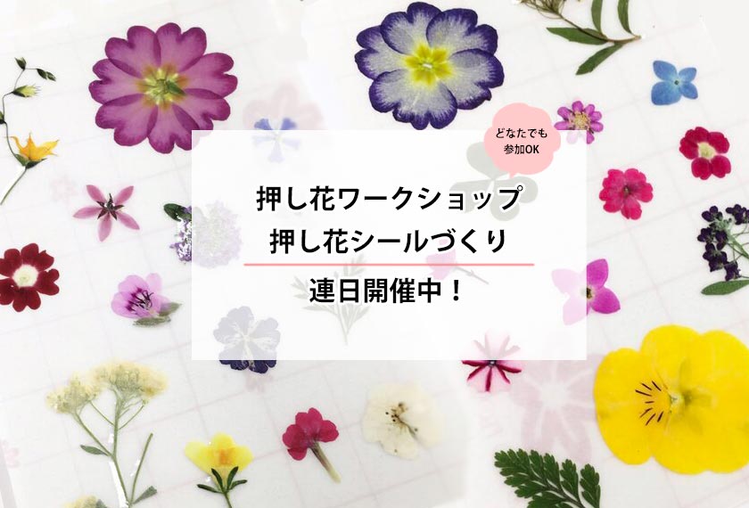 日本レミコ押し花学院 日本レミコ押し花学院は スキマ時間で押し花資格を取得できる講義を開催しています オンライン受講も可能